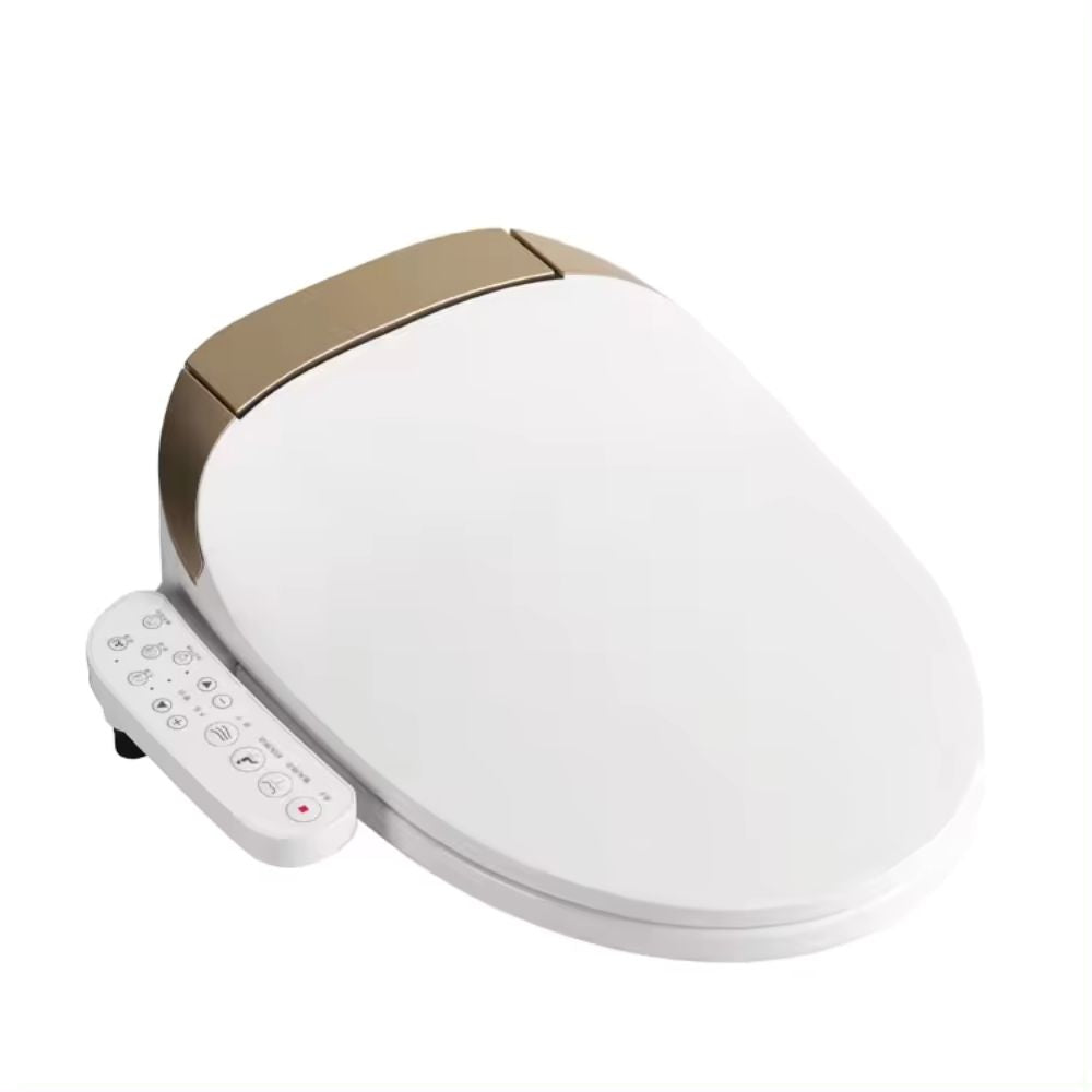 Details of the Sided Control Panel Intelligent Smart Bidet Toilet